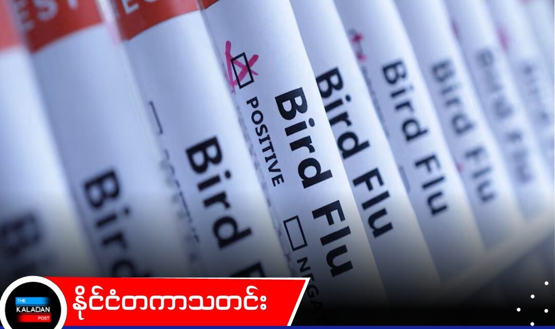 ဩစတြေးလျကုန်းတွင်းပိုင်းမှာ H5N1 ကြက်ငှက်တုပ်ကွေး ပထမဆုံး စတင်တွေ့ရှိ၊ ကူးစက်မှုမပြန့်ပွားအောင် အစွမ်းကုန် ထိန်းချုပ်သွားမည်ဟု ဝန်ကြီးချုပ် အတိအလင်းပြောကြား