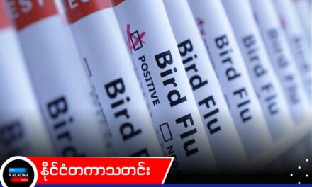 ဩစတြေးလျကုန်းတွင်းပိုင်းမှာ H5N1 ကြက်ငှက်တုပ်ကွေး ပထမဆုံး စတင်တွေ့ရှိ၊ ကူးစက်မှုမပြန့်ပွားအောင် အစွမ်းကုန် ထိန်းချုပ်သွားမည်ဟု ဝန်ကြီးချုပ် အတိအလင်းပြောကြား