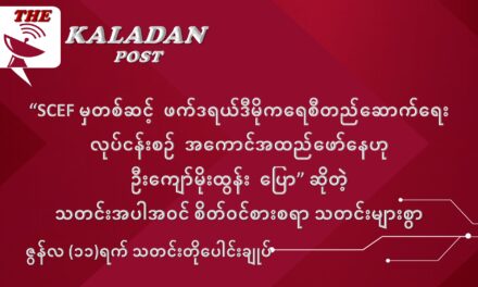 ဇွန်လ (၁၁) ရက် သတင်းတိုပေါင်းချုပ်