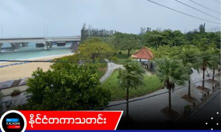 တိုင်ဖုန်း ဒေါဖင်ကြောင့် အိုကီနာဝါတွင် လျှပ်စစ်မီးပြတ်တောက်ပြီး တရုတ်တွင် ဆိပ်ကမ်းများ ပိတ်ထား