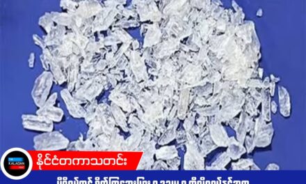 မီဇိုရမ်တွင် စိတ်ကြွဆေးပြား ၅ ဒသမ ၅ ကီလိုဂရမ်နှင့်အတူ မြန်မာနိုင်ငံသားတစ်ဦး ဖမ်းဆီးခံရ